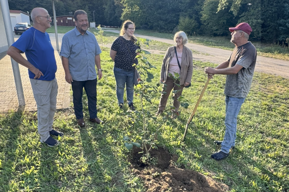 Baumpflanz-Challenge